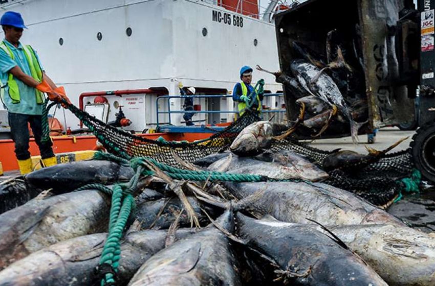  Rumbo al 2025: desafíos y oportunidades para las exportaciones pesqueras y acuícolas del Ecuador