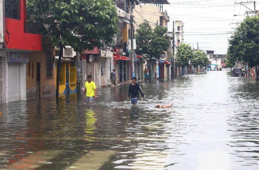  ¿Viene o no viene El Niño? Una mirada científica desde Ecuador