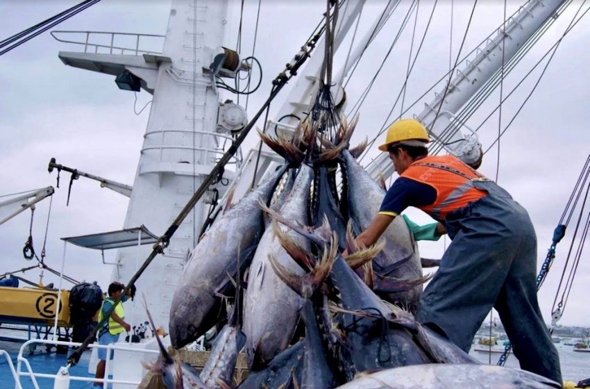  Ecuador defiende su soberanía pesquera ante Europa