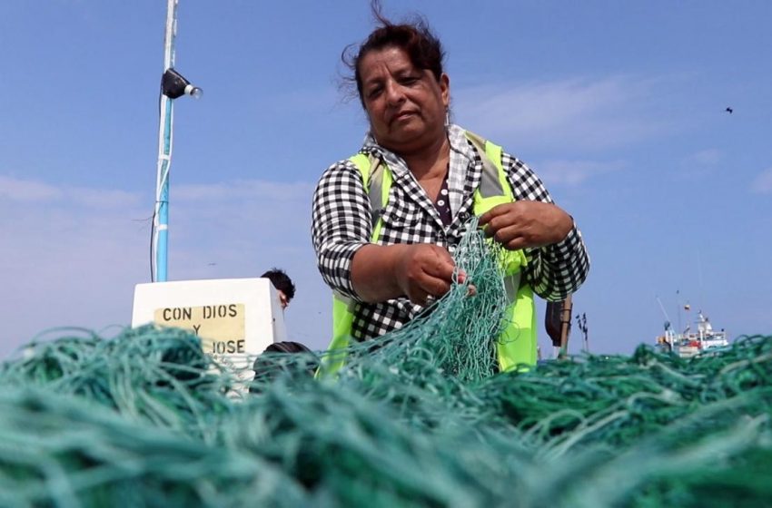  La fuerza femenina que impulsa el sector marítimo ecuatoriano