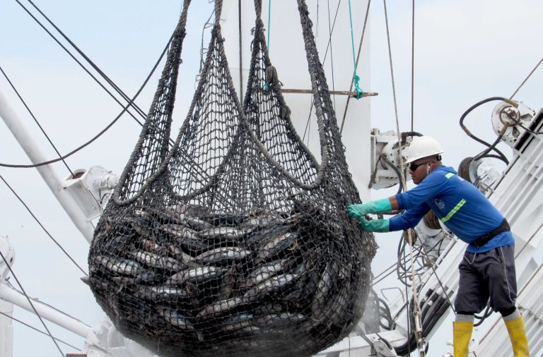 Trazabilidad: la huella que garantiza una pesca sostenible
