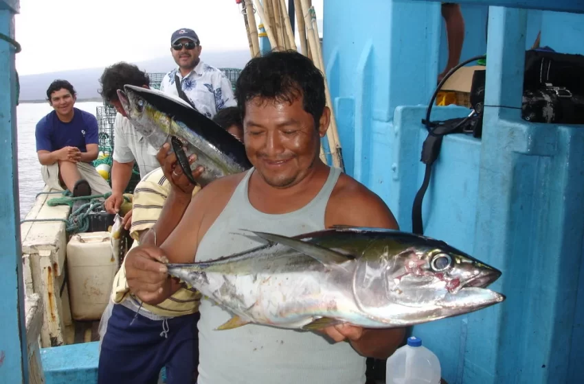 Galápagos exige resultados: pescadores artesanales piden acciones concretas al nuevo Gobierno