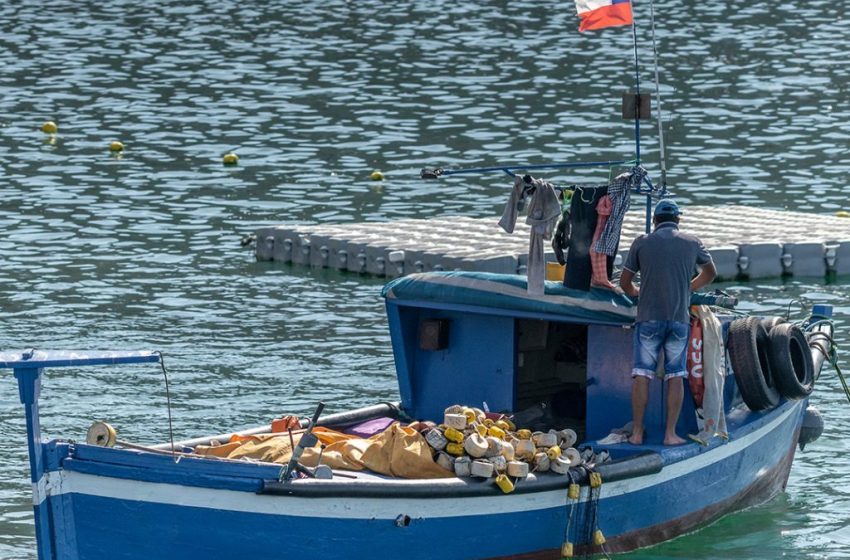 El Jurel Chileno en la mira global: Pescadores artesanales Luchan por una cuota justa