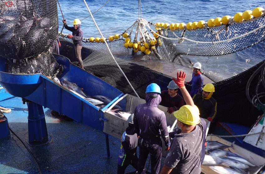 Tunacons, la fuerza privada que impulsa la vida submarina en Ecuador