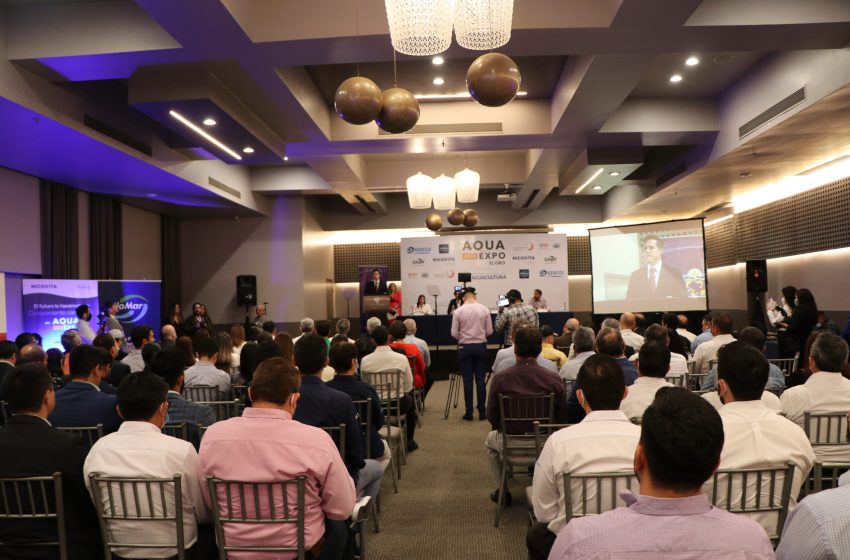 Aqua Expo El Oro: el impulso para pequeños y medianos camaroneros del país