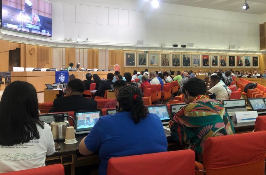  COFI 35: Nuevas reglas globales para frenar la pesca ilegal y proteger a los pescadores