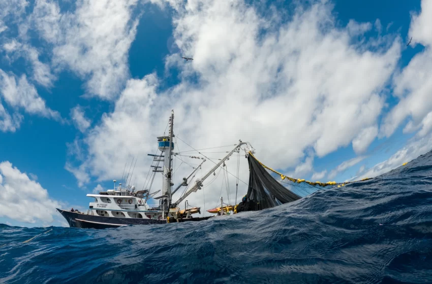  Certificación MSC: Ecuador alcanza un hito histórico para la pesca sostenible