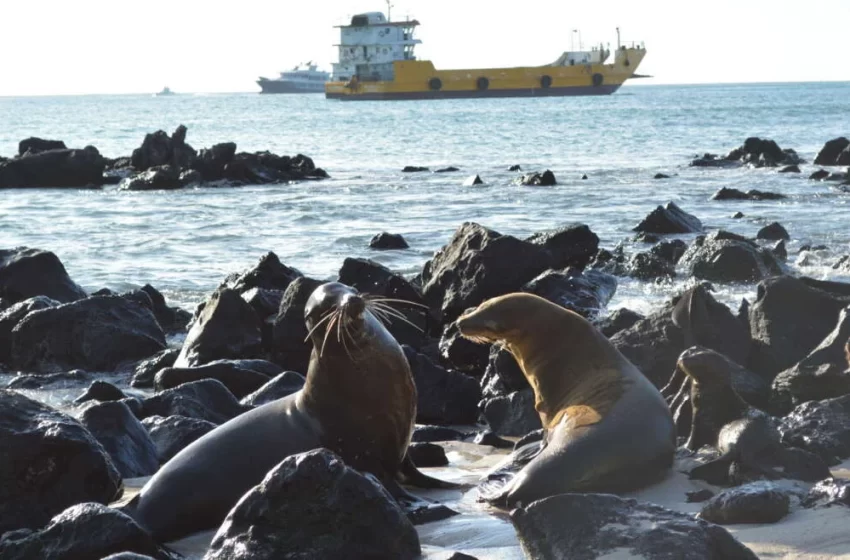 Galápagos exige atención: entre la conservación y el olvido institucional
