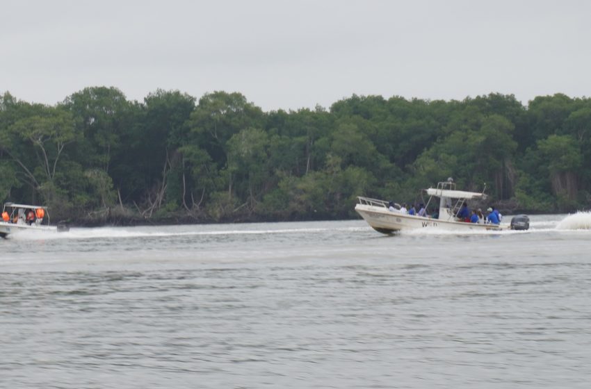 “Nos están dejando solos”: Manglares en peligro y pescadores bajo amenaza en el Golfo de Guayaquil
