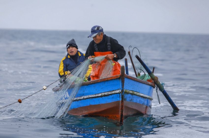 Un grito desde el mar: Pescadores artesanales exigen seguridad y respaldo legislativo