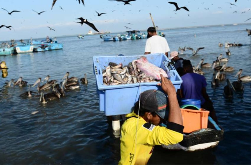 Ecuador refuerza su rumbo hacia una pesca y acuicultura sostenibles en 2023