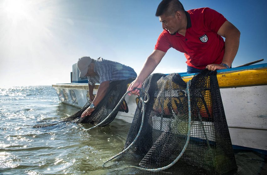  Golfo de Guayaquil: pescadores artesanales exigen atención ante abandono y contaminación