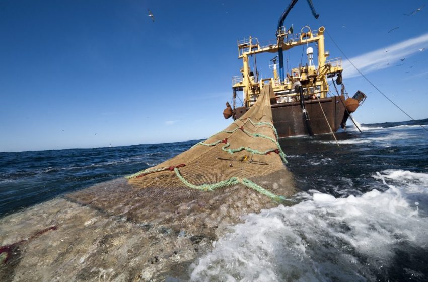 La pesca que mejora con el tiempo: Latinoamérica apuesta por la sostenibilidad con proyectos FIP