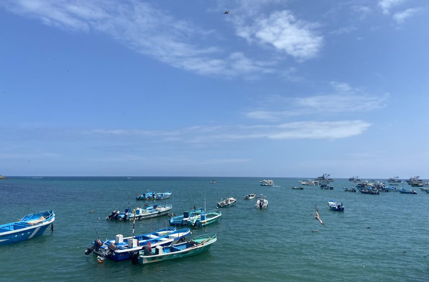  Zona exclusiva para la pesca artesanal: la Asamblea frena la reforma y mantiene la protección de las 8 millas
