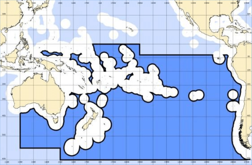 SPRFMO 2025: Calamasur advierte falta de base científica para nuevas medidas sobre la pesquería de calamar gigante